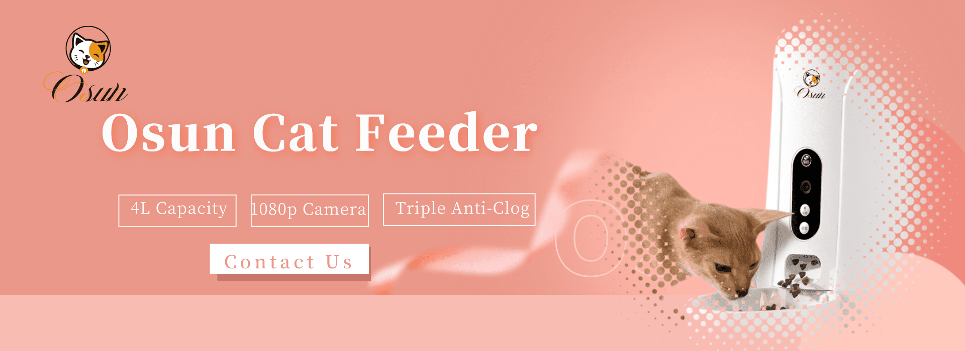 Automatic Pet Feeder for Cat