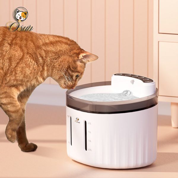 cat water fountain